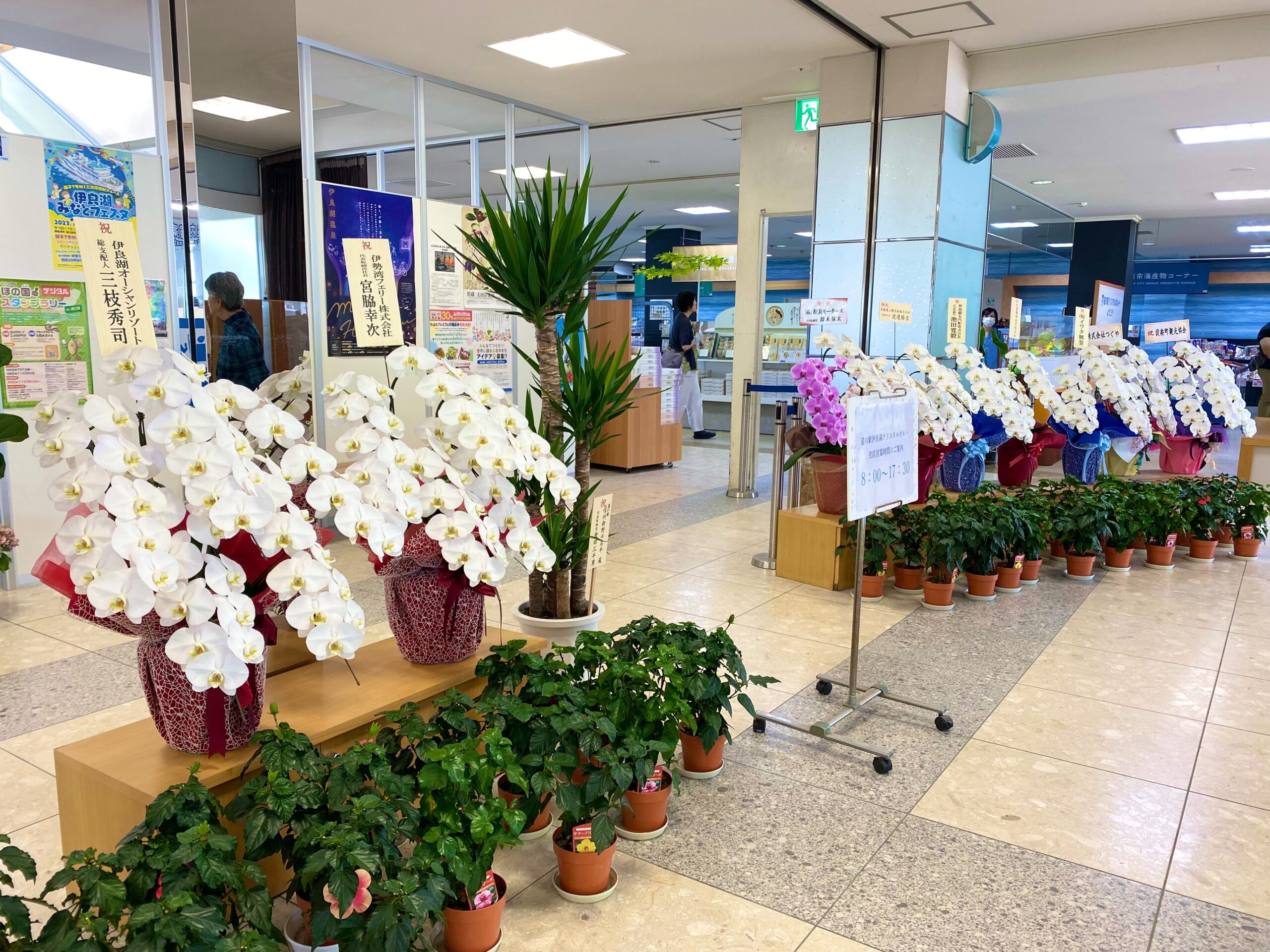 伊良湖クリスタルポルト玄関