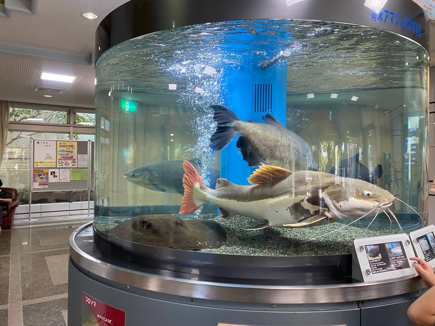 ぎょぎょランド