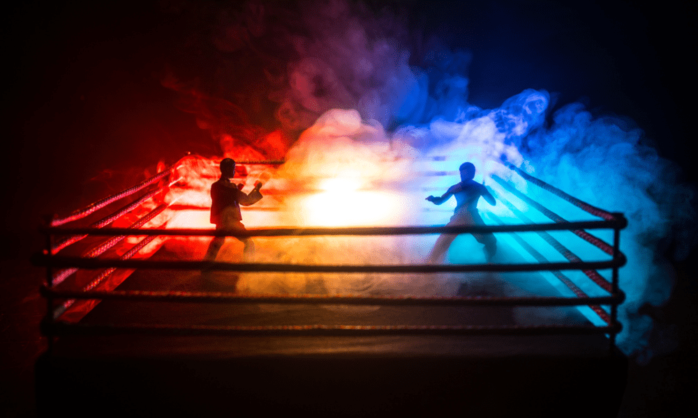 総合格闘技RIZINイメージ