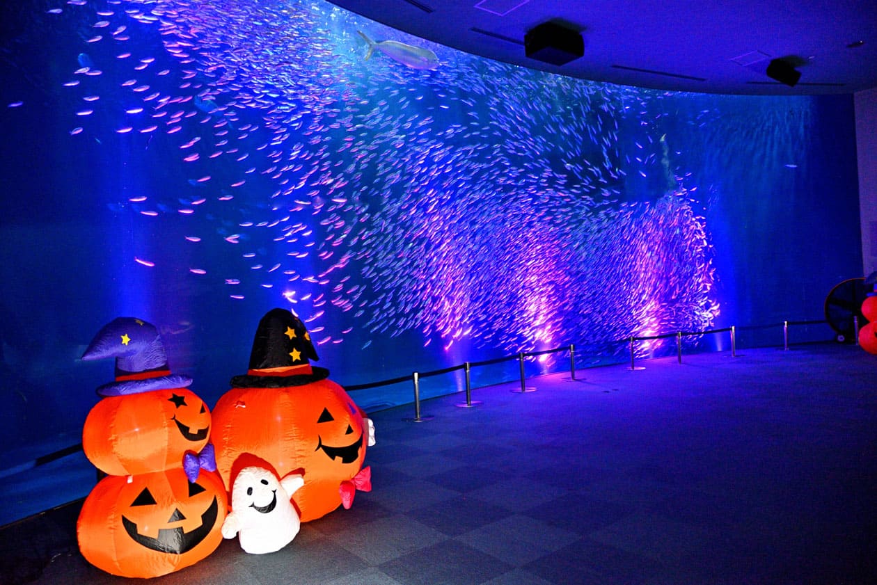 名古屋水族館 ハロウィンアクアリウム