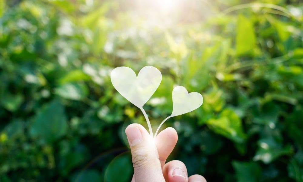 安全配慮義務_自己保健義務