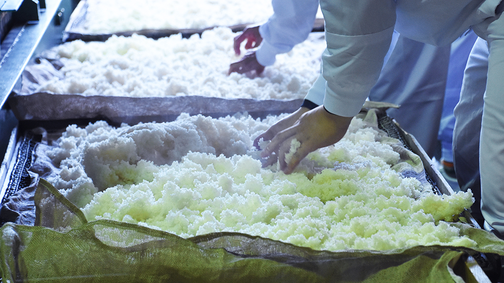 福井酒造の仕込みの様子