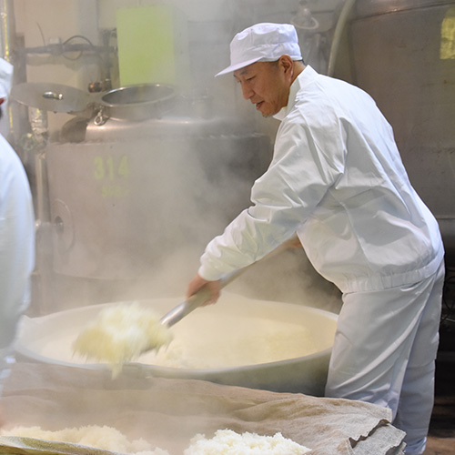 日本酒造り・製造_福井酒造求人