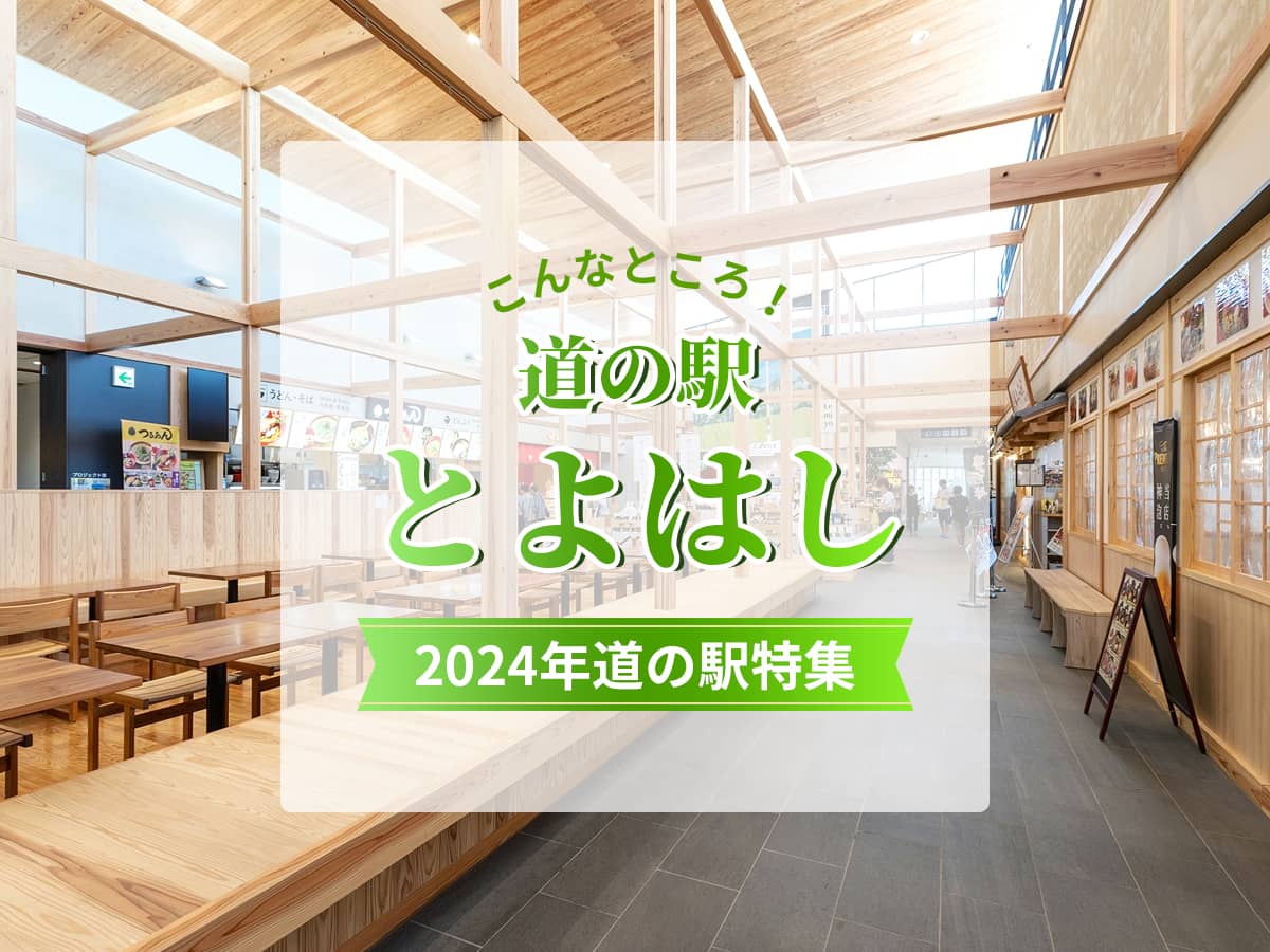 東三河生活情報_道の駅とよはし