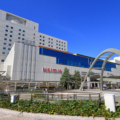 大一青果カルミア