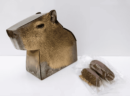 竹島水族館リニューアル_カピバラのおとしもの