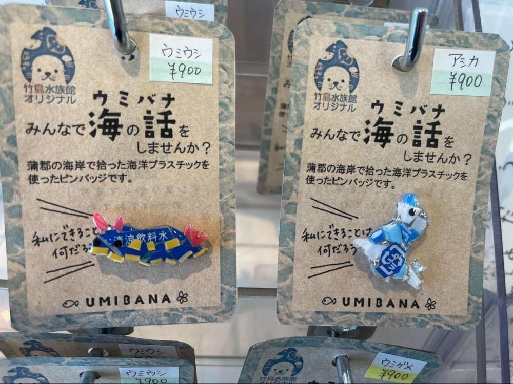 竹島水族館リニューアル_タケスイお土産SDGs