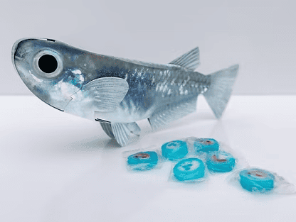 竹島水族館お土産の例