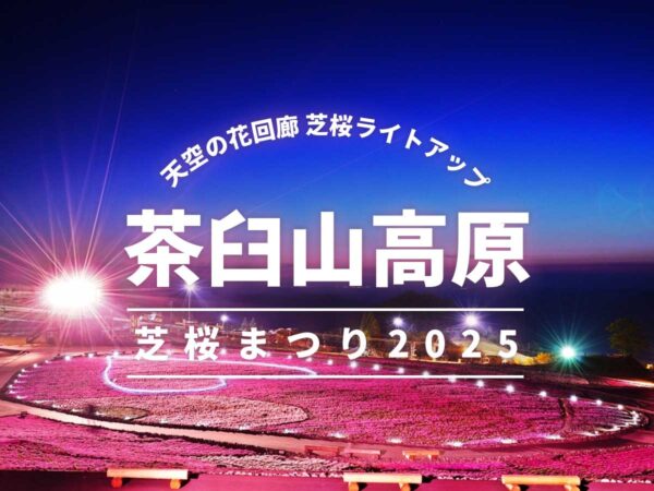 茶臼山高原 芝桜まつり2025