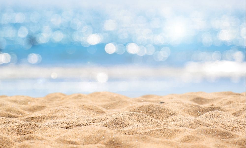 スイカ割りは夏の思い出