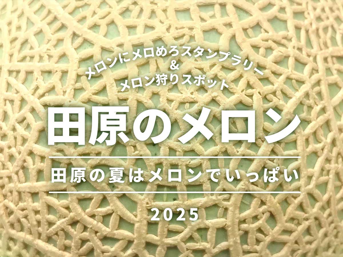 2025年田原市メロン