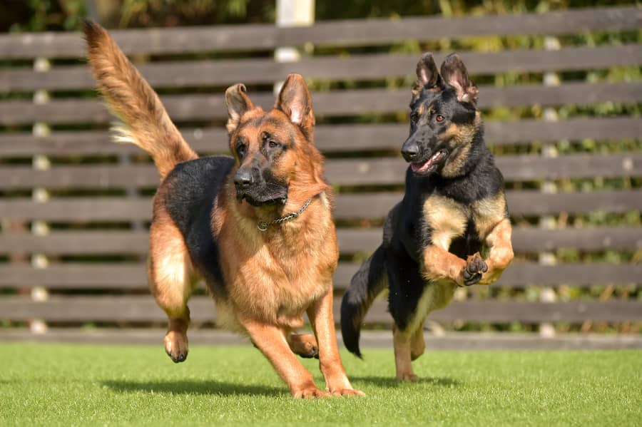 あいくる_多目的ホール